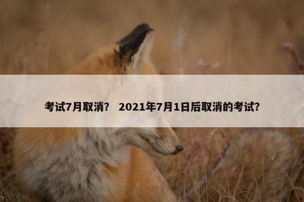 考试7月取消？ 2021年7月1日后取消的考试？