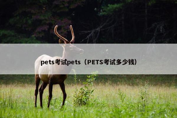 pets考试pets（PETS考试多少钱）