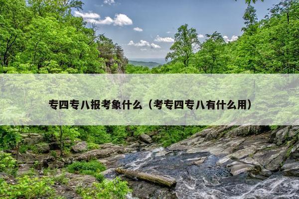 专四专八报考象什么（考专四专八有什么用）