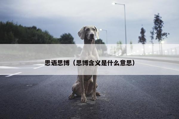 思语思博（思博含义是什么意思）