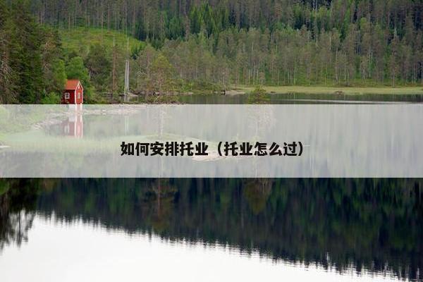 如何安排托业（托业怎么过）