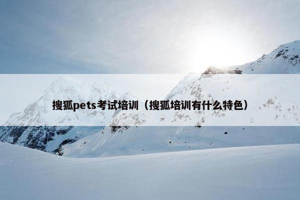 搜狐pets考试培训（搜狐培训有什么特色）