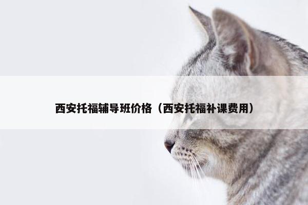 西安托福辅导班价格（西安托福补课费用）
