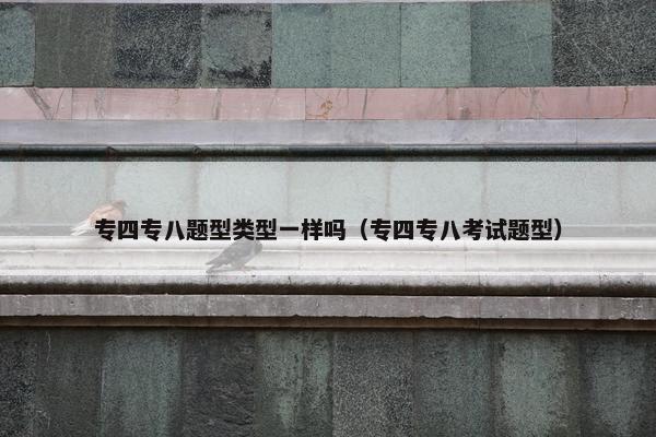 专四专八题型类型一样吗（专四专八考试题型）