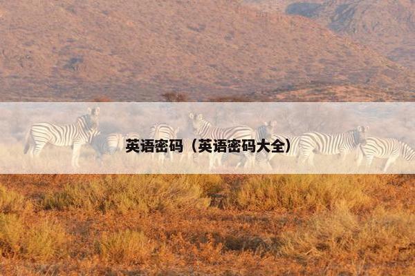 英语密码（英语密码大全）