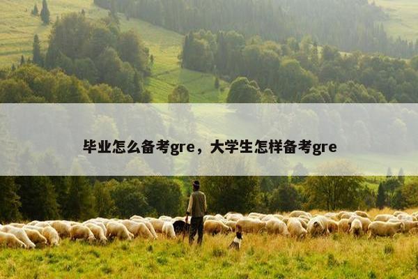 毕业怎么备考gre，大学生怎样备考gre