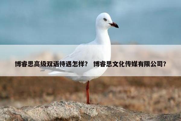 博睿思高级双语待遇怎样？ 博睿思文化传媒有限公司？