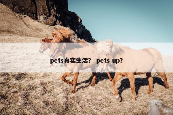 pets真实生活？ pets up？
