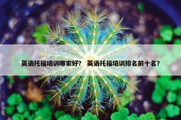 英语托福培训哪家好？ 英语托福培训排名前十名？
