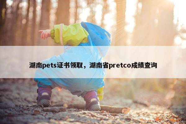 湖南pets证书领取，湖南省pretco成绩查询