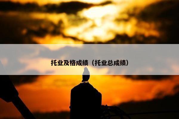 托业及格成绩（托业总成绩）