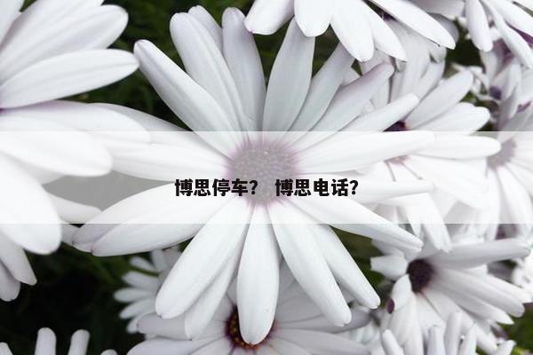 博思停车？ 博思电话？