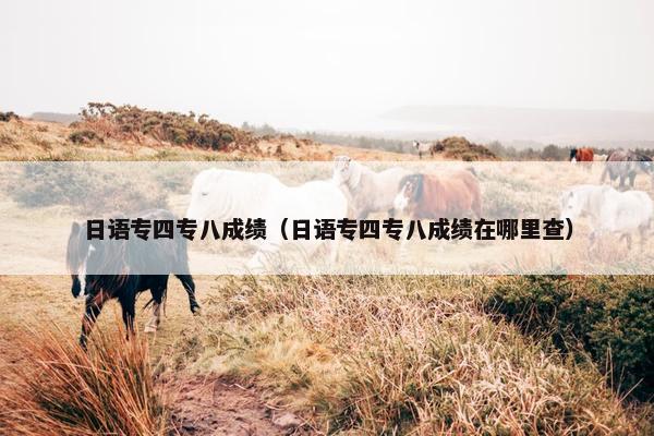 日语专四专八成绩（日语专四专八成绩在哪里查）