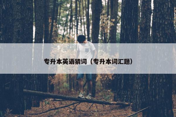 专升本英语猜词（专升本词汇题）