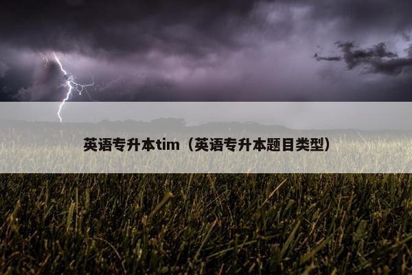 英语专升本tim（英语专升本题目类型）