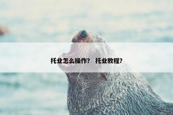 托业怎么操作？ 托业教程？