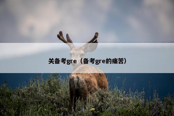 关备考gre（备考gre的痛苦）