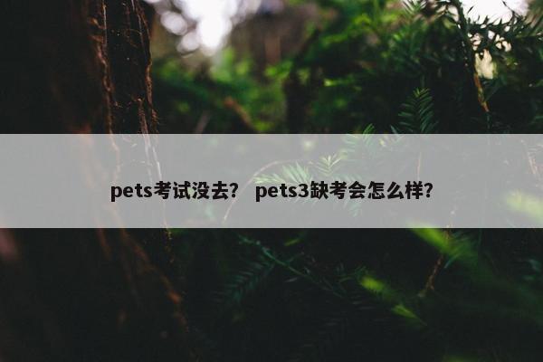 pets考试没去？ pets3缺考会怎么样？
