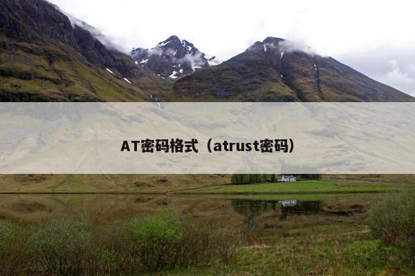 AT密码格式（atrust密码）