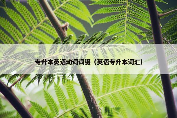 专升本英语动词词缀（英语专升本词汇）
