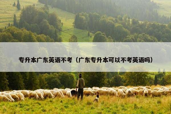专升本广东英语不考（广东专升本可以不考英语吗）