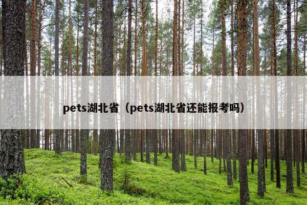 pets湖北省（pets湖北省还能报考吗）