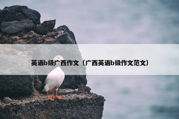 英语b级广西作文（广西英语b级作文范文）