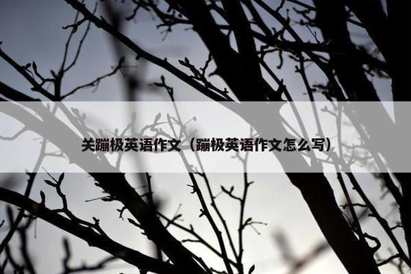 关蹦极英语作文（蹦极英语作文怎么写）