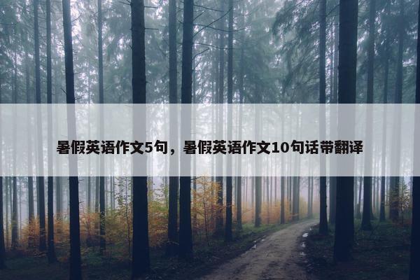 暑假英语作文5句，暑假英语作文10句话带翻译