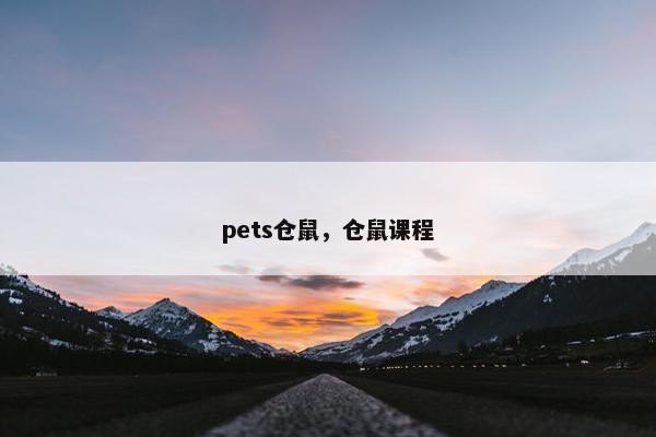pets仓鼠，仓鼠课程