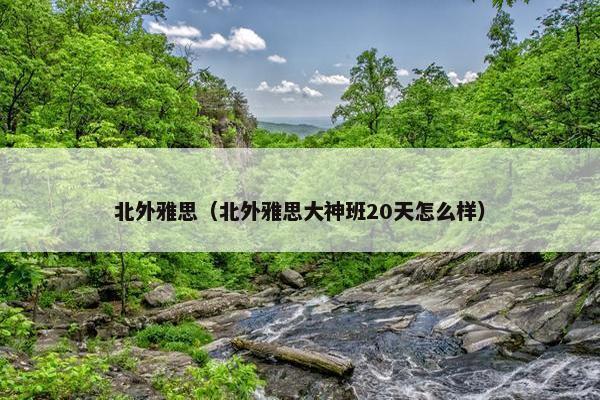 北外雅思（北外雅思大神班20天怎么样）