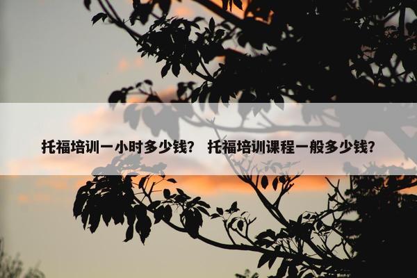 托福培训一小时多少钱？ 托福培训课程一般多少钱？