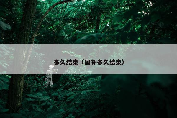 多久结束（国补多久结束）