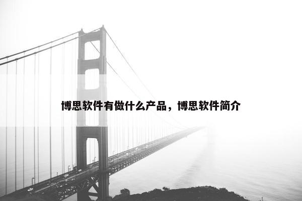 博思软件有做什么产品，博思软件简介