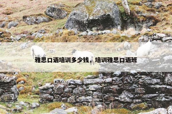 雅思口语培训多少钱，培训雅思口语班