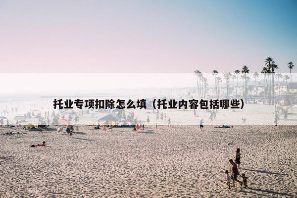托业专项扣除怎么填（托业内容包括哪些）