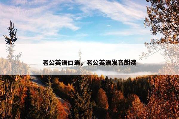 老公英语口语，老公英语发音朗读