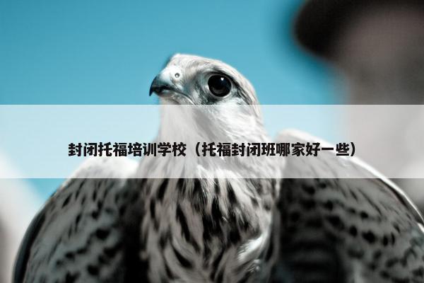 封闭托福培训学校（托福封闭班哪家好一些）