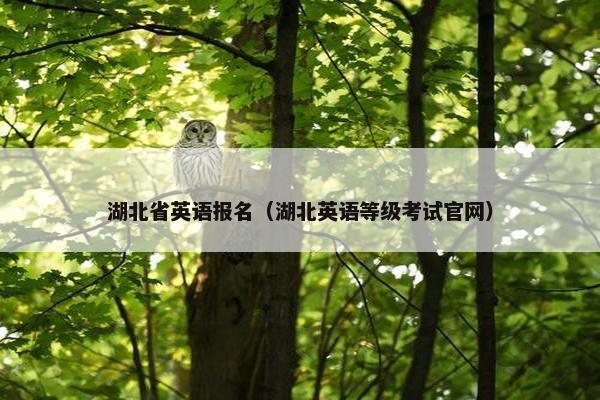 湖北省英语报名（湖北英语等级考试官网）