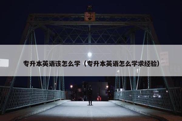专升本英语该怎么学（专升本英语怎么学求经验）