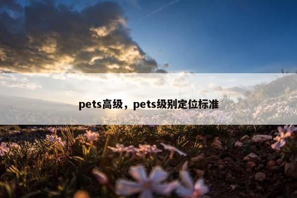 pets高级，pets级别定位标准