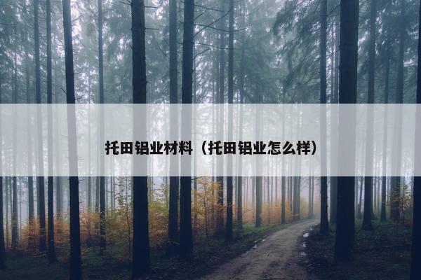 托田铝业材料（托田铝业怎么样）