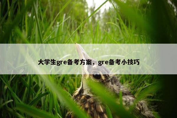 大学生gre备考方案，gre备考小技巧