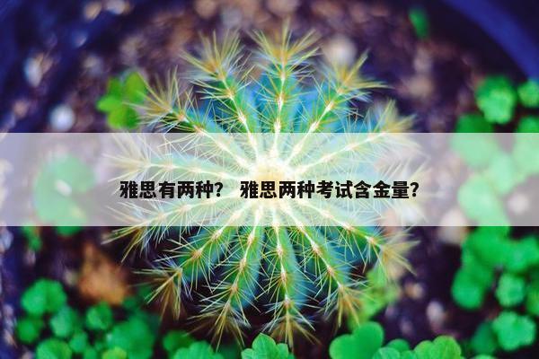 雅思有两种？ 雅思两种考试含金量？