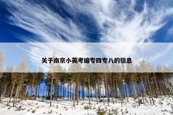 关于南京小英考编专四专八的信息