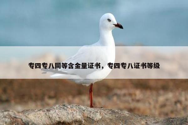 专四专八同等含金量证书，专四专八证书等级