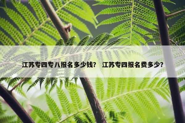 江苏专四专八报名多少钱？ 江苏专四报名费多少？