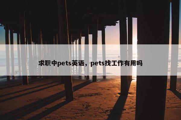 求职中pets英语，pets找工作有用吗