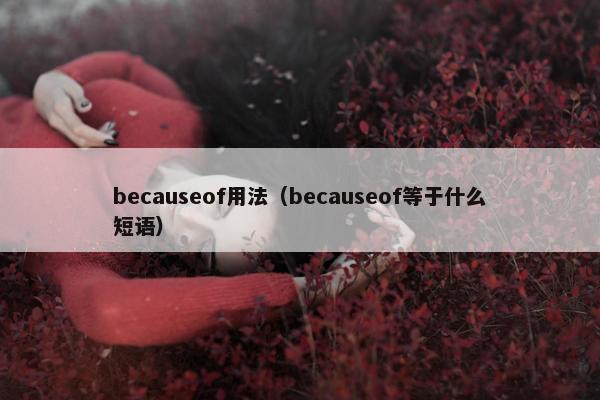 becauseof用法（becauseof等于什么短语）