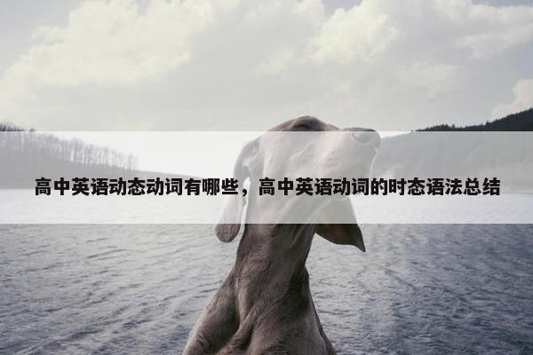 高中英语动态动词有哪些，高中英语动词的时态语法总结